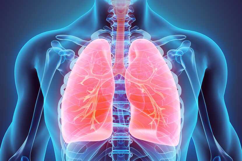 ReCode Therapeutics' experimental drugs could be used to treat cystic fibrosis and primary...