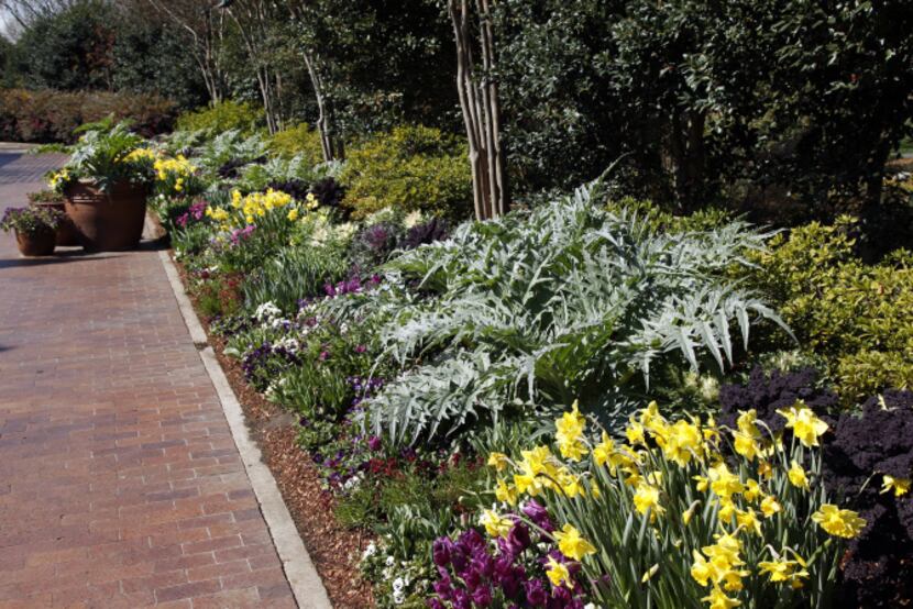 Bella Via is the walkway that connects the main entrance of the 63-acre garden to the Paseo,...