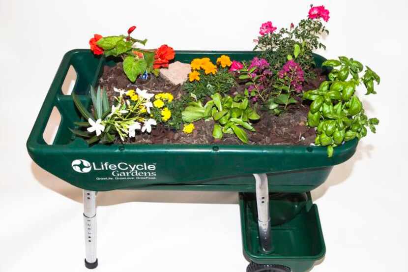 
Justin Connell, 22, invented the adjustable Garden on Wheelz cart to provide for gardeners...