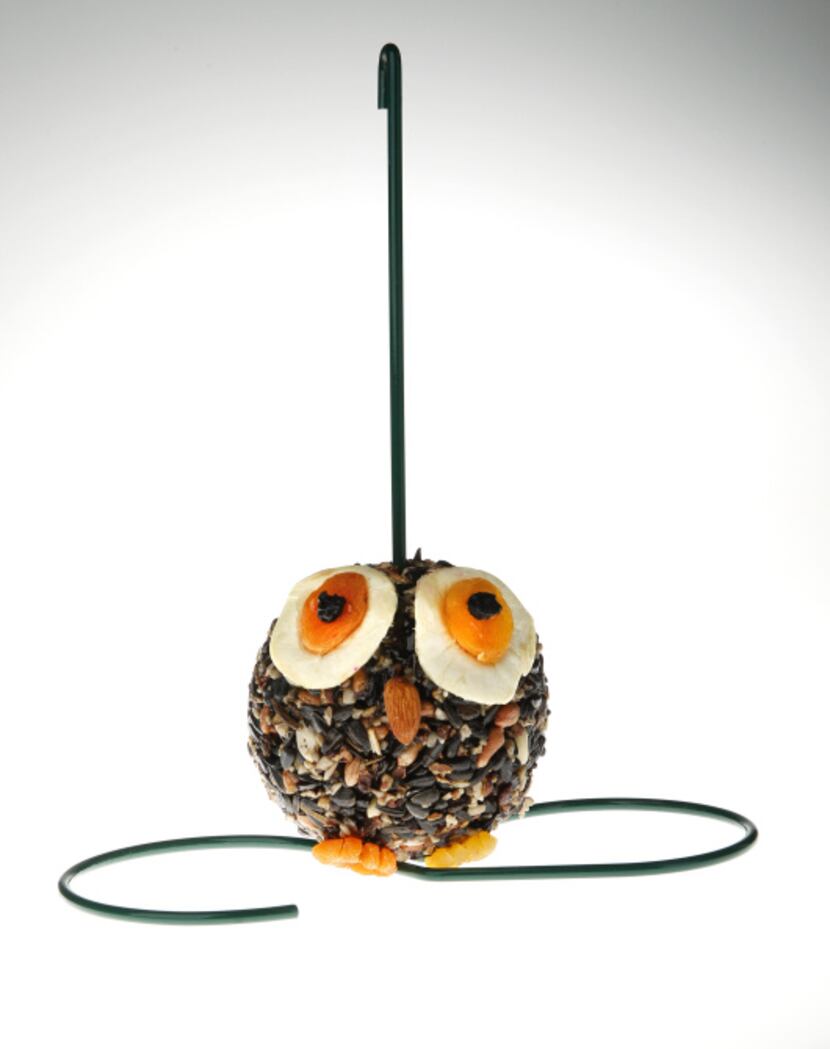 An owlish orb is packed with high-energy tidbits such as pecans, almonds, apricots, apples...