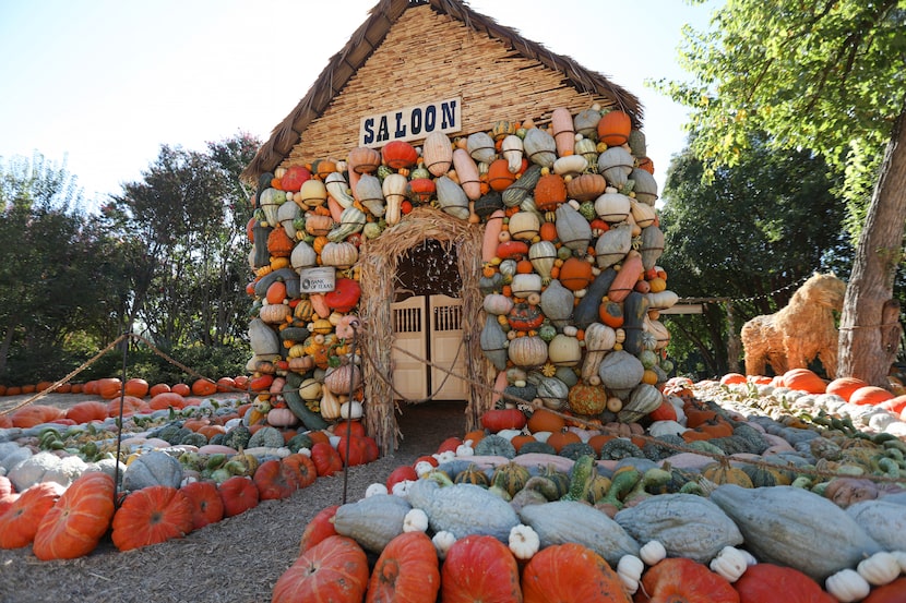 The Dallas Arboretum and Botanical Gardens is opening its doors in the evenings this year...