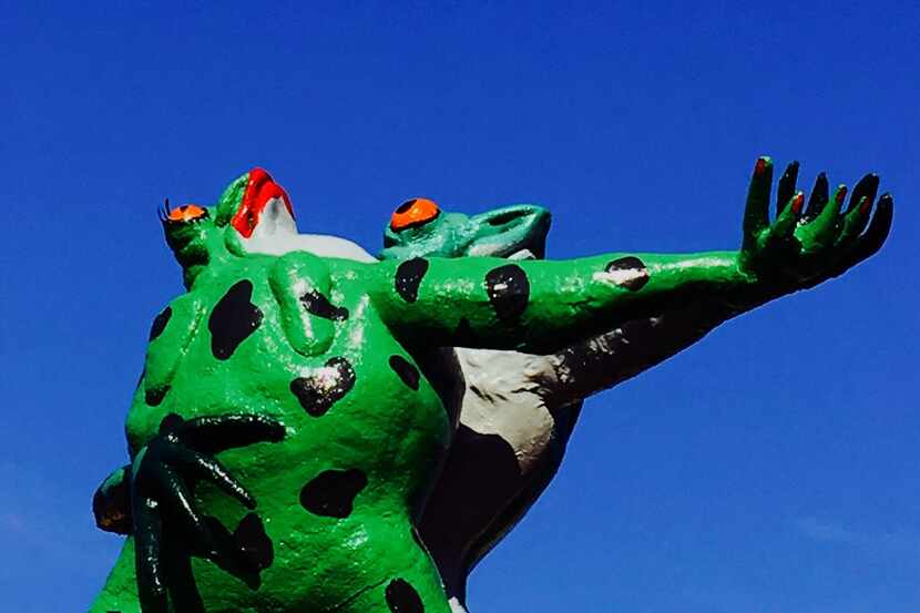 The Tango Frogs on the top of Taco Cabana for the Fantastic Beasts project in Dallas June 6,...