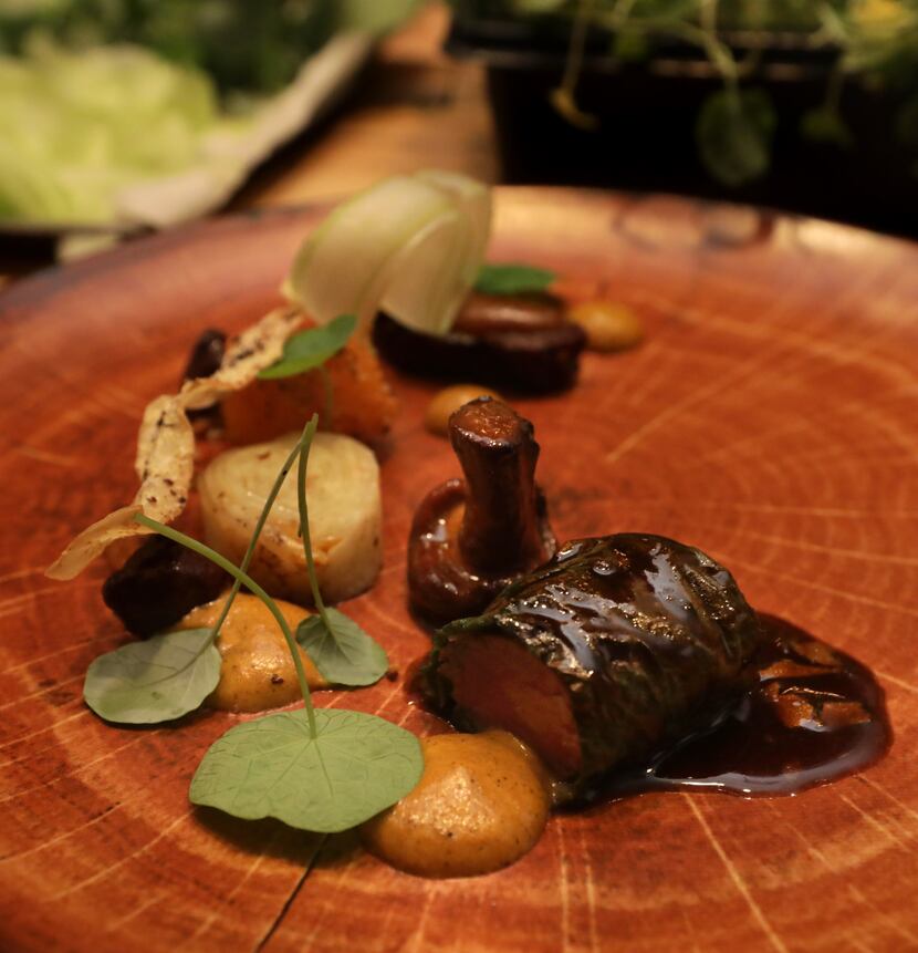 Lamb loin and belly with hoja santa, mole de calabaza and chicatanas (flying ants)