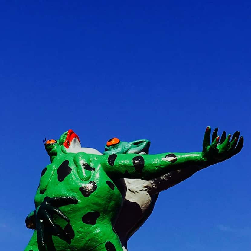 The Tango Frogs on the top of Taco Cabana in 2017. 