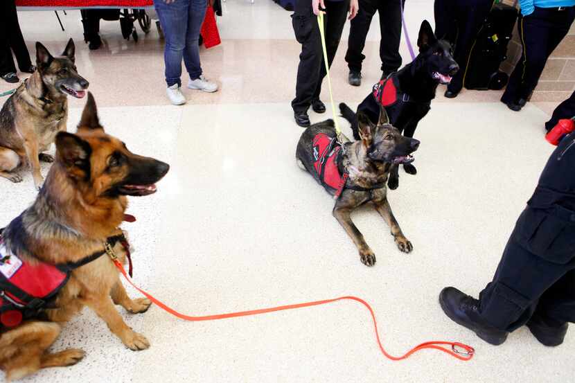 Las mascotas están invitadas al próximo evento de "Chief on the Beat", una feria de salud y...