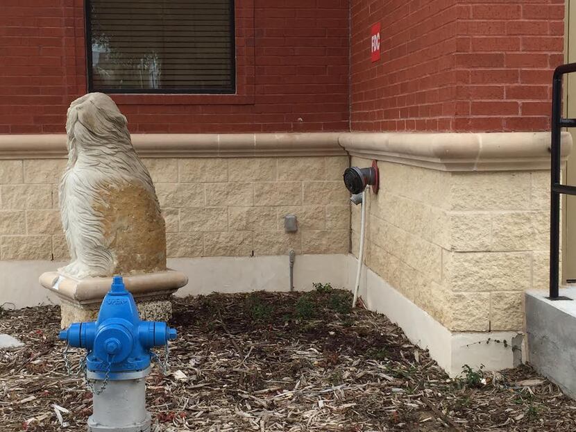 The Watchdog sculpture is hidden away on a McKinney street corner, so DallasNews.com...