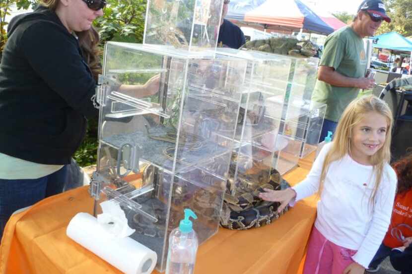 You'll meet a wide variety of critters at East Lake Pet Orphanage's annual Pet Fair. (2010...