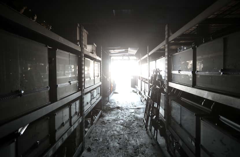 The smoke-covered remains of The Serpentarium after a fire severely damaged the Richardson...