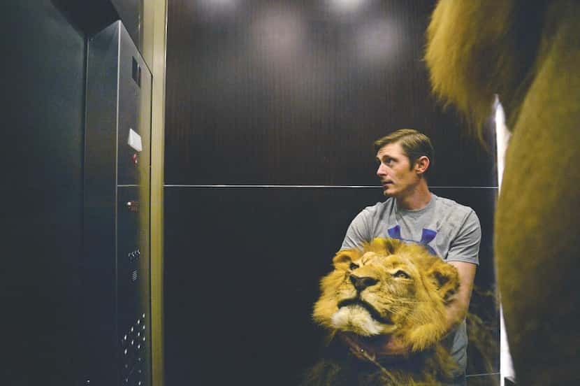 
Conroe Taxidermy employee Brandon Casteel helps set up the Kay Bailey Hutchison Convention...