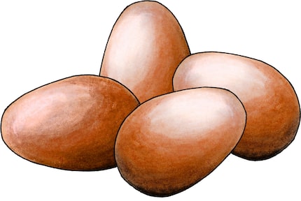 Eggs