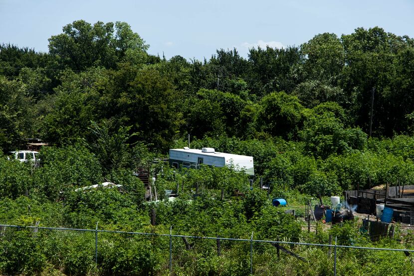 A mobile home sits amid thick vegetation in Sandbranch, a small unincorporated Dallas County...