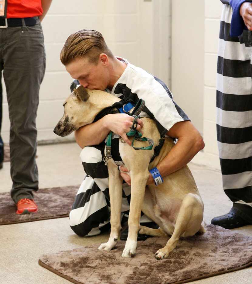 Dallas County inmate Christopher Whiteley kisses his dog T-Bone during a press conference...
