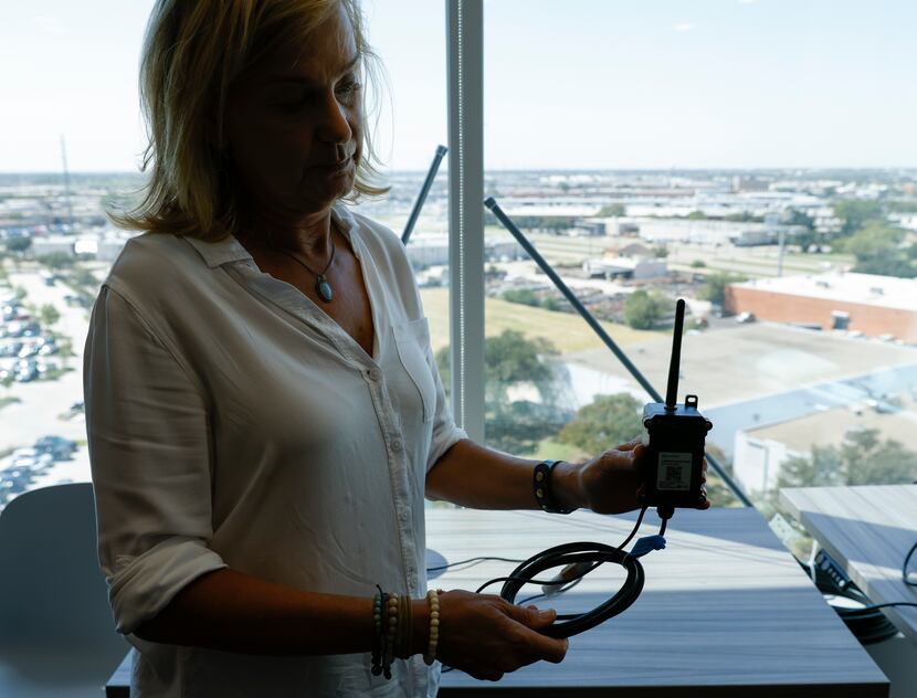 Rose Jones, a researcher at the Texas Trees Foundation, shows a temperature and humidity...