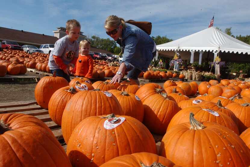 Rockwall’s Original Pumpkin Patch will close for good after Halloween this year and its...