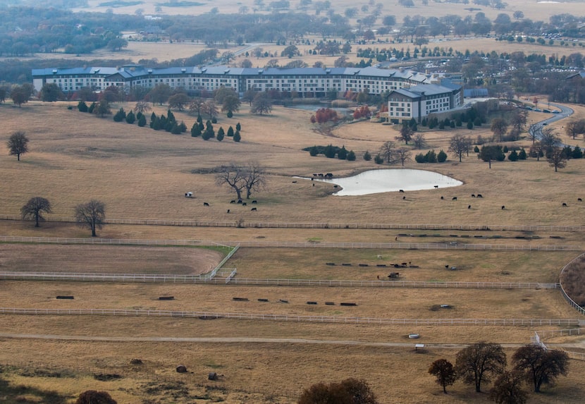 Deloitte's university campus is seen the background on the Circle T Ranch. (Ashley...