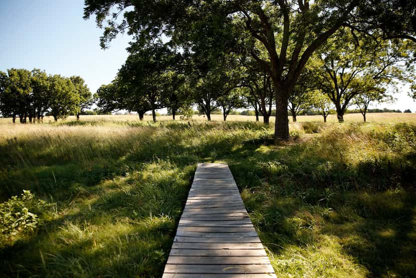 A bridge leads to the meadow trails at Oak Point Park and Nature Preserve in Plano.