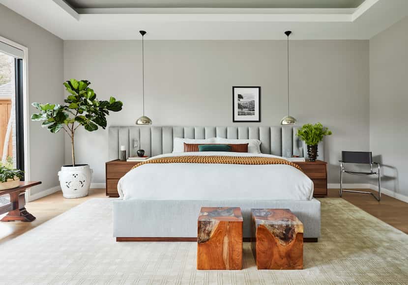 Bedroom with gray channel-tufted headboard behind a platform bed, fig tree in corner, wooden...