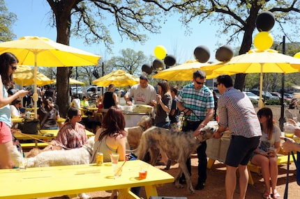 Dogs can even have organized birthday parties on the deck at Mutts Canine Cantina.