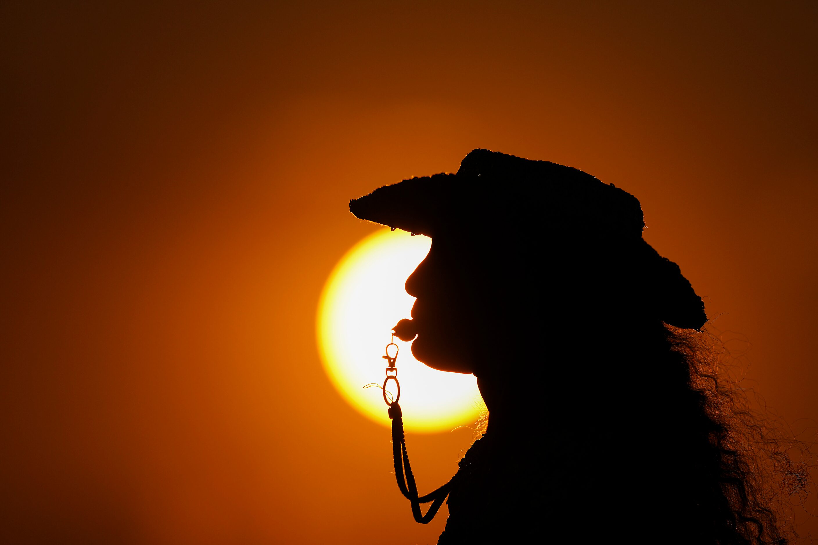 The sun sets behind members of the Panther Creek drill team before a District 7-4A Division...