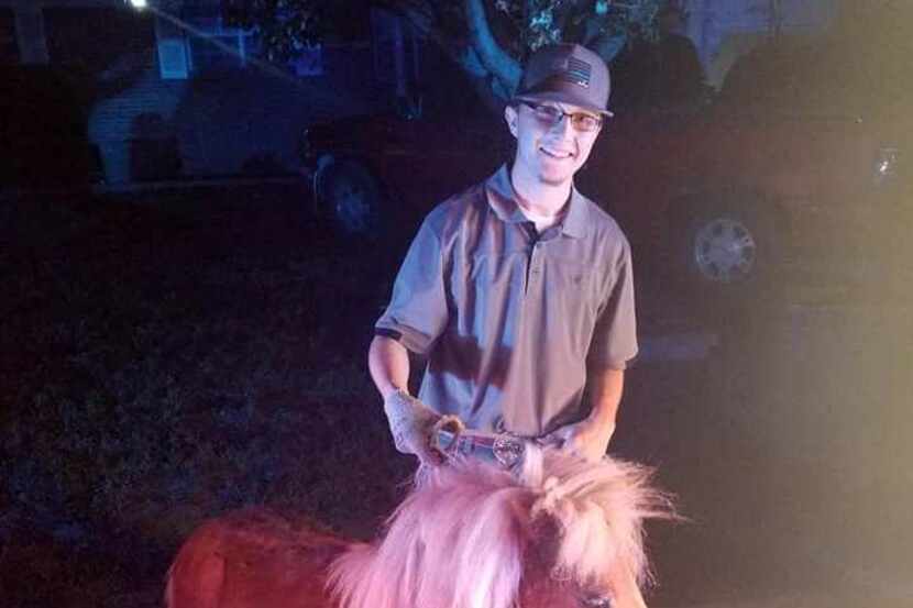 Colby Caudle and the miniature horse that broke free Friday night and ran around Haltom City.