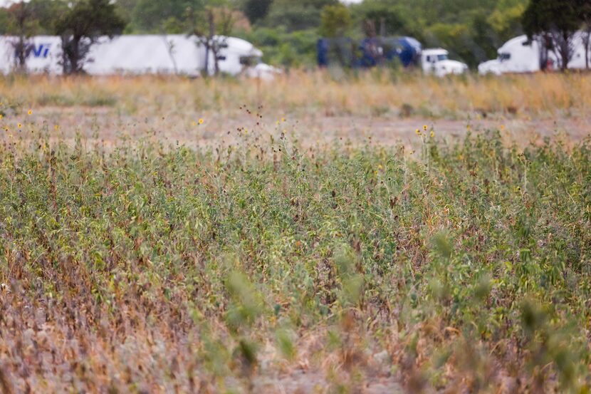 A vacant lot on S. St. Augustine Dr. in Dallas on Wednesday, August 10, 2022 which its...