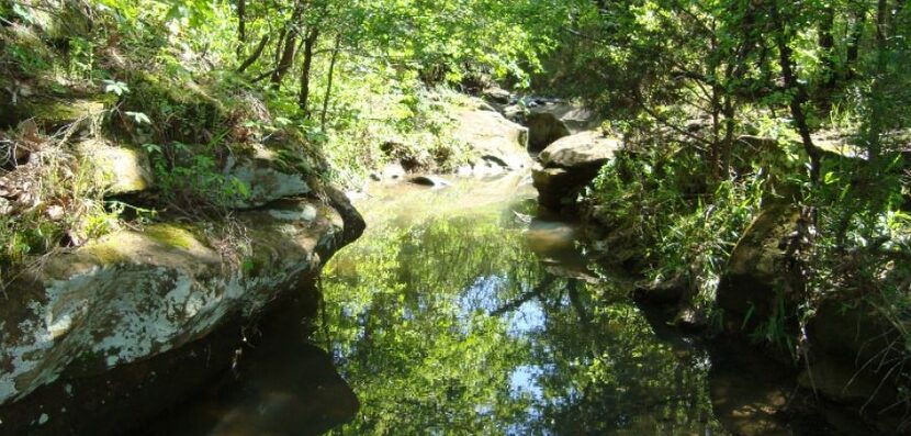 The creeks at Crystal Canyon Preservation Area change shape throughout the year.