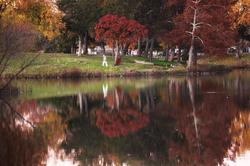 
Fall foliage highlights as pedestrians walk through Lake Cliff Park in Oak Cliff early ...
