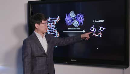 Dr. Zhijian  James  Chen of UT-Southwestern last week was named winner of the prestigious...