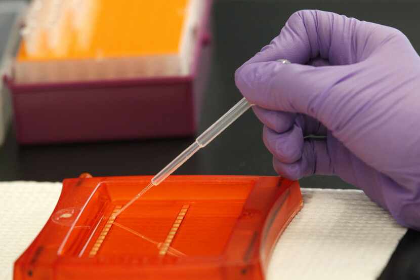 In this Sept. 29, 2011 photo, a scientist works with DNA samples in a New Orleans...