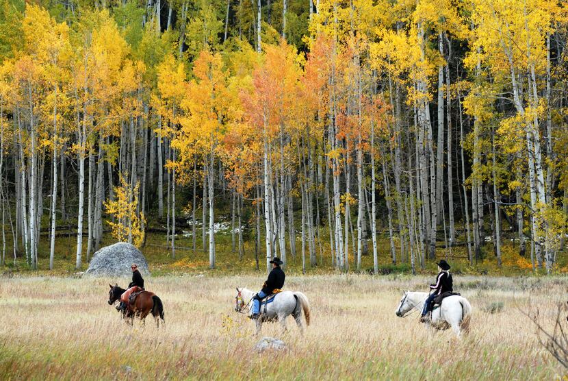 Three people ride on horses through the aspen trees at Vista Verde Ranch.