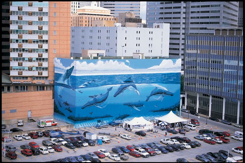 This is a photograph of "Whaling Wall 82," found at 505 N. Akard St. in Dallas and painted...