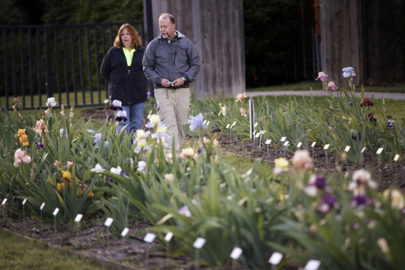 Michael Reed, right, and his wife Mary Ellen Reed, left, look around and photograph iris...