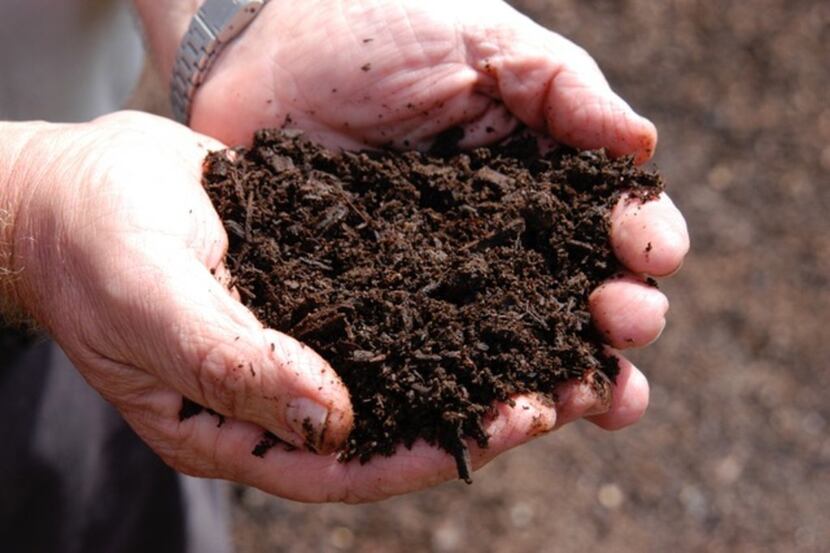 Compost can be purchased or made at home.