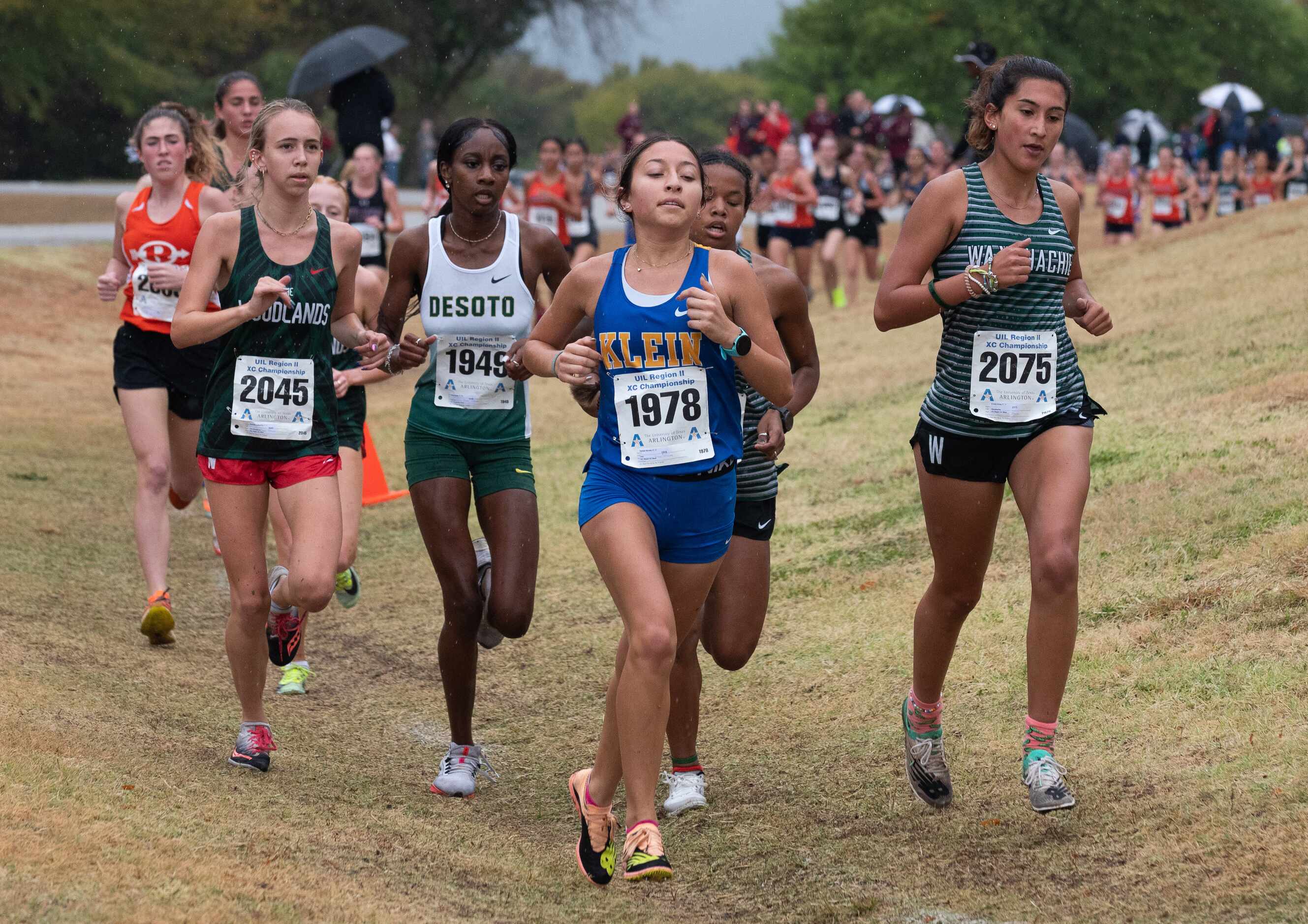 Klein runner Daniel Mendez (1678) leads a pack of girls during the 6A Girls UIL Region II...