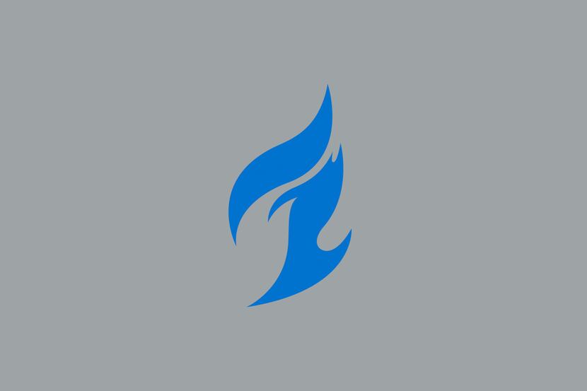 Dallas Fuel logo.