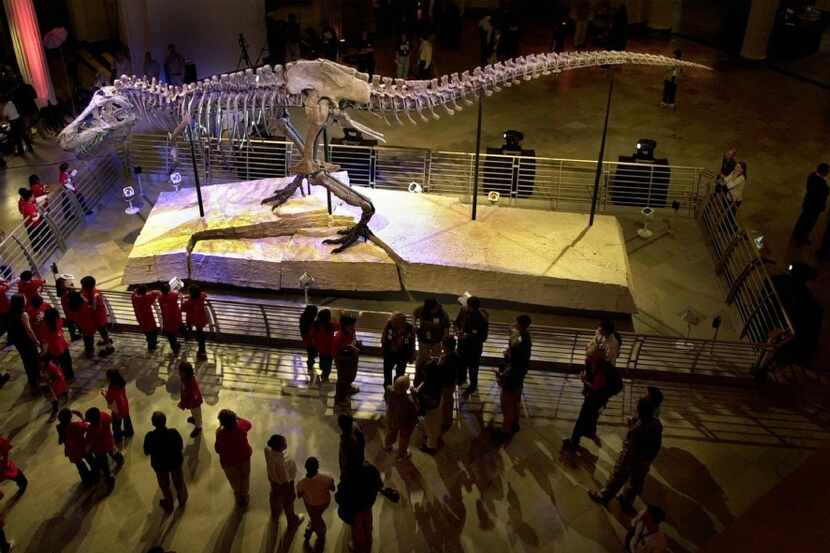 Una foto de Sue, el más grande y más completo esqueleto de Tyrannosaurus rex que se ha...