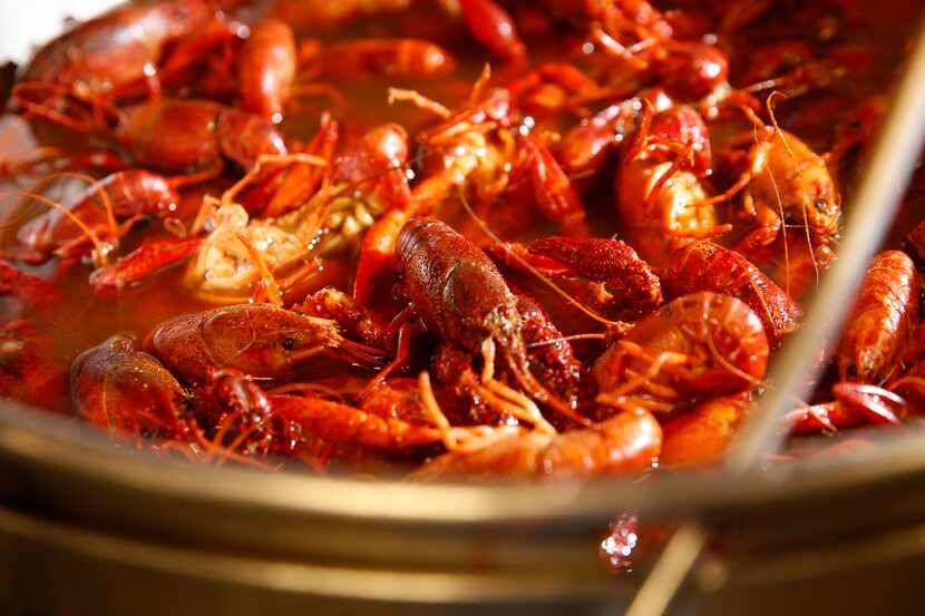 Crawfish are boiled at The Boiling Crab in Dallas