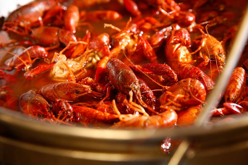 Boiled crawfish are pictured in this file photo.