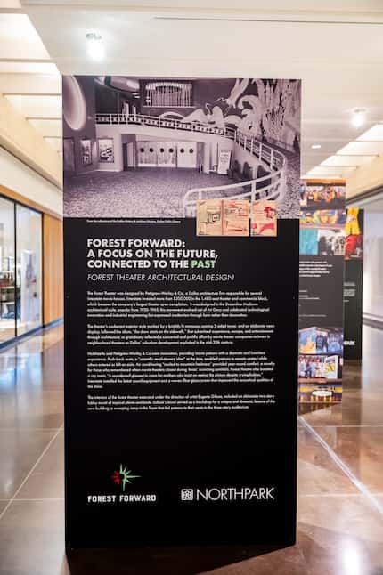 An image of the Forest Forward exhibit in the corridor of NorthPark Center in Dallas, Texas.