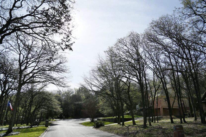 The neighborhood along Frontier Court in Colleyville, where Anita Fox was killed in...