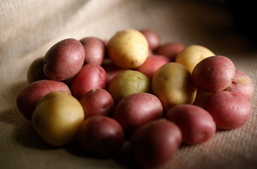 A variety of baby potatoes