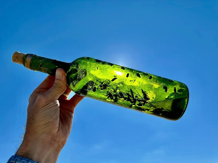 En la costa del golfo de Texas han aparecido "botellas de brujas". Algunas culturas creen...