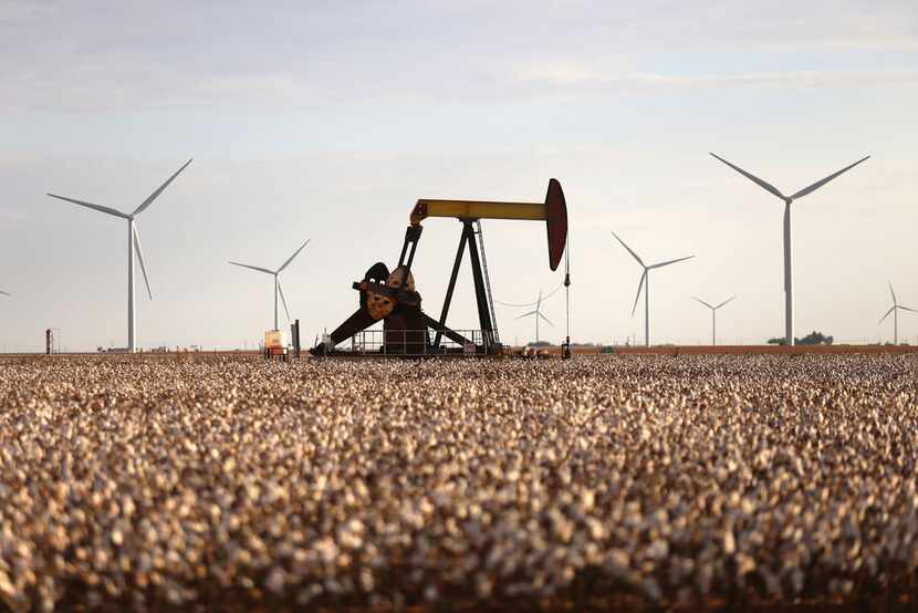 Pump jacks and wind turbines are visible inside a cotton field near Lamesa.