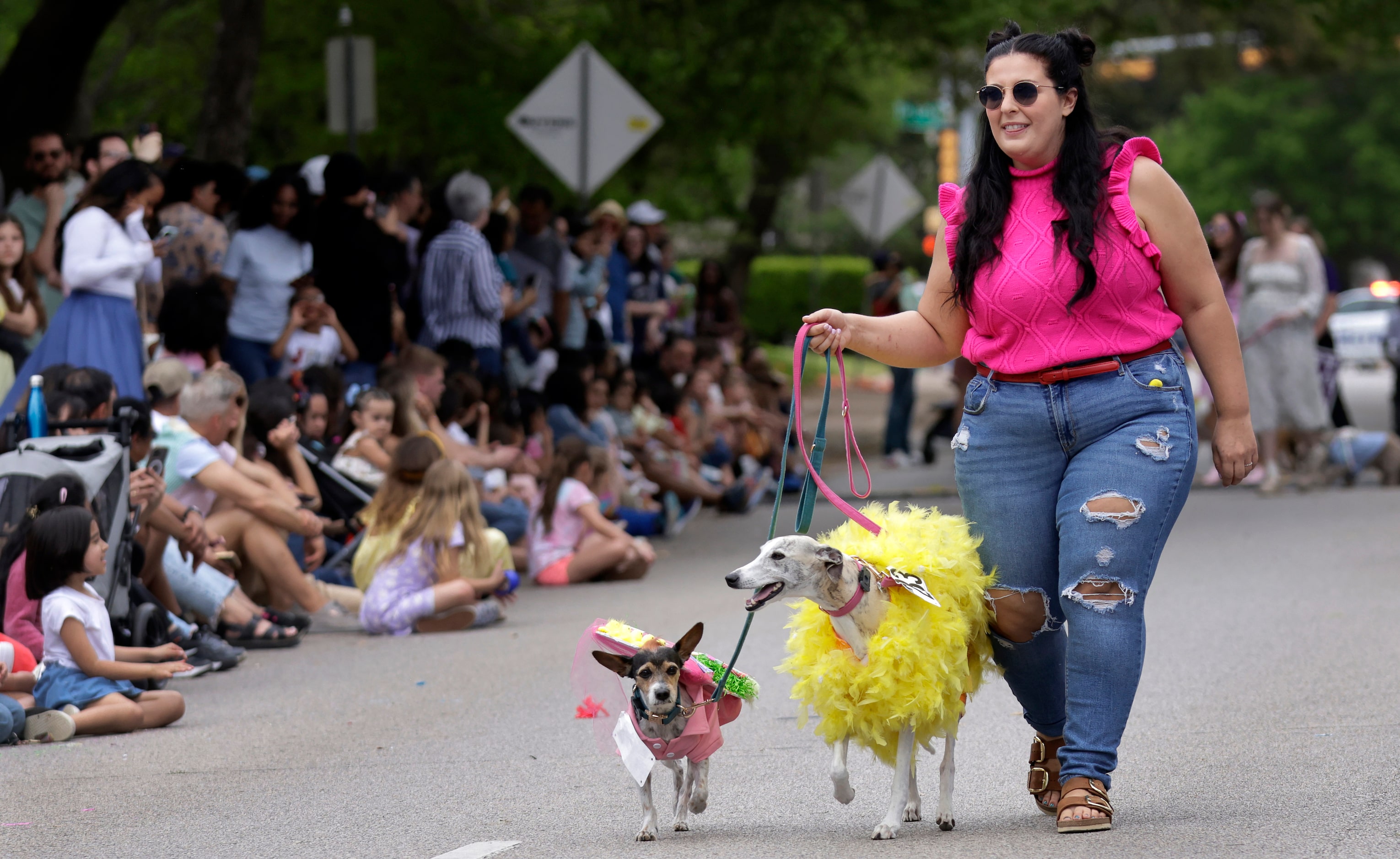 Rose Alleluia of Garland walks her Easter-dressed whippet Harriet and terrier-mix Walter in...