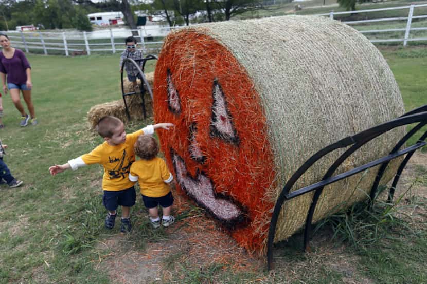 Children check out the painted Halloween face on a bail of hay at Owens Farms in Richardson.