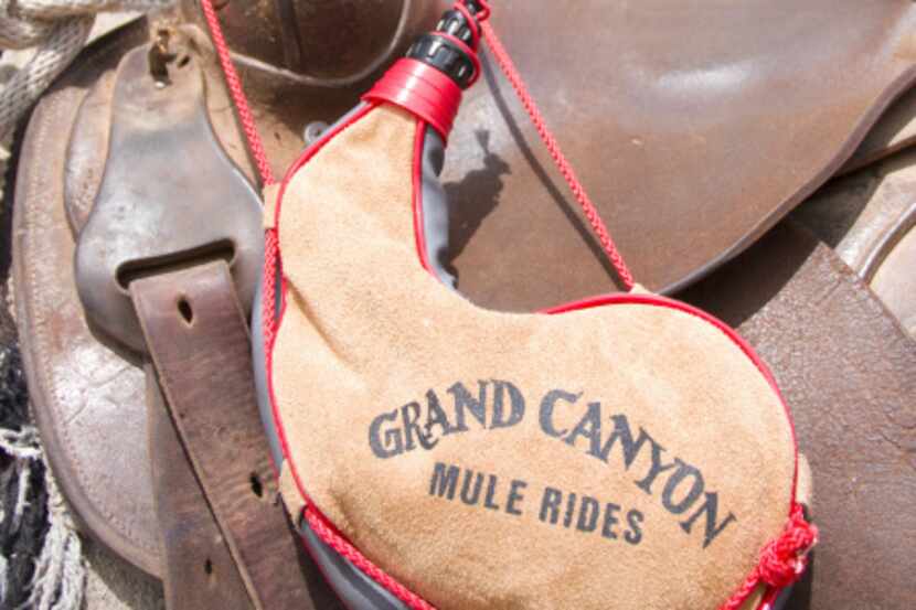 Grand Canyon visitors can ride along the rim for spectacular views up and down the canyon...