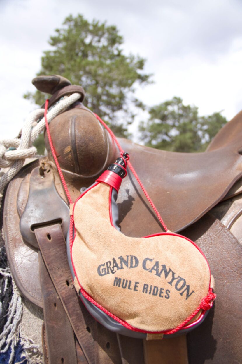 Grand Canyon visitors can ride along the rim for spectacular views up and down the canyon...