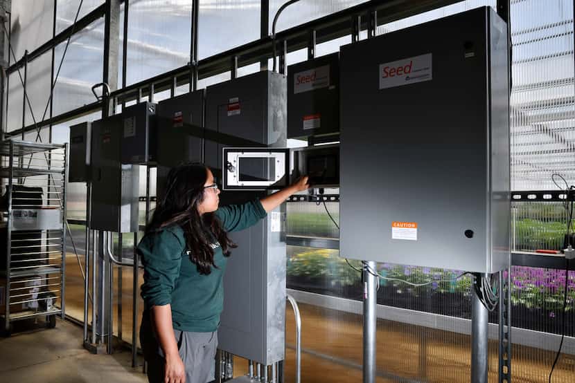 Ana Swinson, the greenhouse manager, shows off the Wadsworth Control Panel at Dallas...