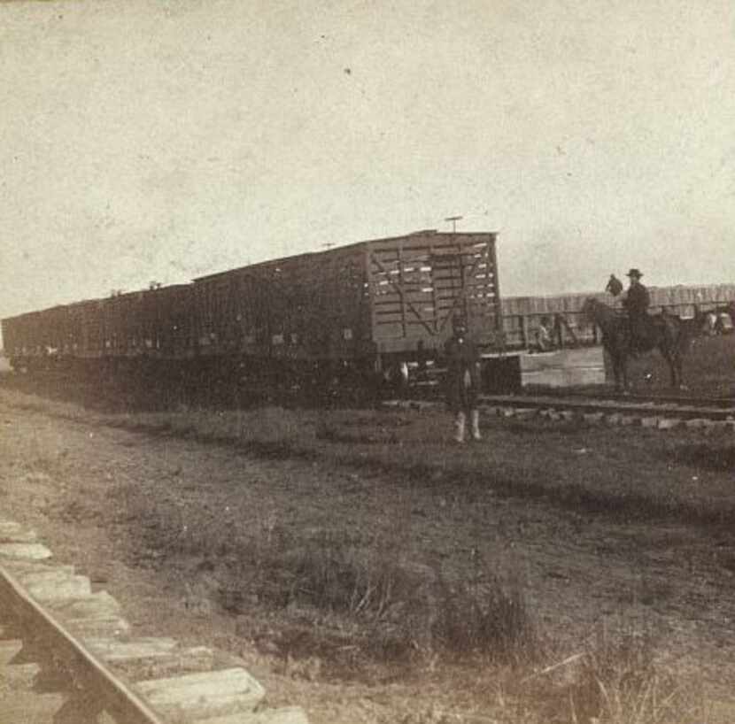 Loading cattle at MacCoy's stockyard, Abilene, Kan., in 1867. 