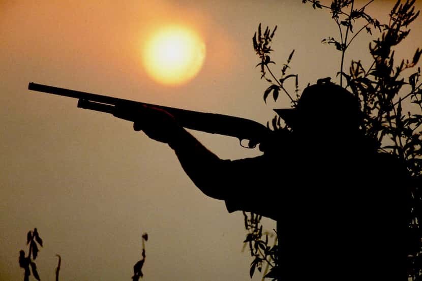Texas  300,000 dove hunters will head to the field for the annual season opener on September...